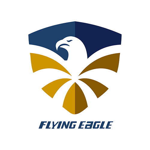 خرید اسکیت برند فلایینگ ایگل | FLYING EAGLE skate